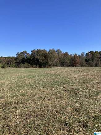 11.1 Acres of Agricultural Land for Sale in Elkmont, Alabama
