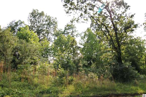 0.56 Acres of Residential Land for Sale in Gilbertsville, Kentucky