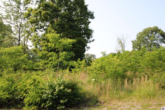 0.67 Acres of Residential Land for Sale in Gilbertsville, Kentucky