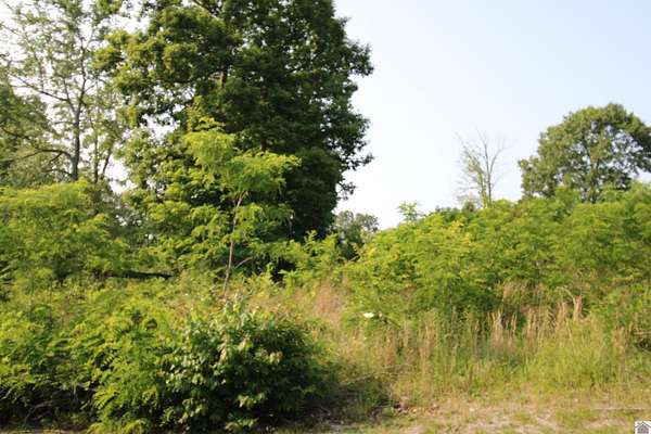 0.67 Acres of Land for Sale in Gilbertsville, Kentucky