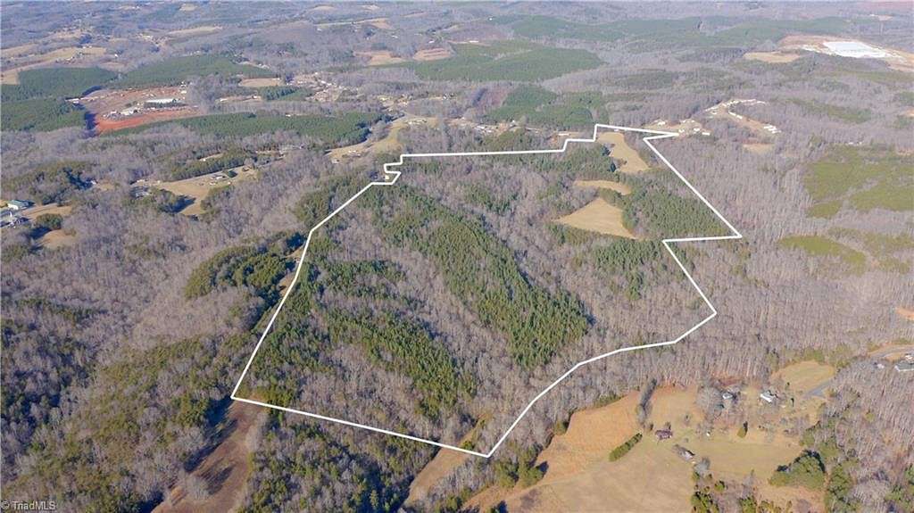 134.4 Acres of Land for Sale in Stoneville, North Carolina