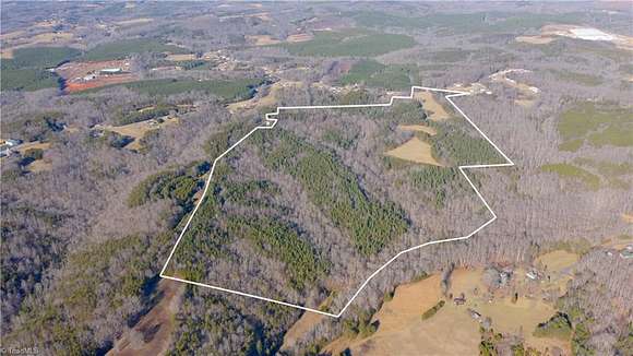134 Acres of Agricultural Land for Sale in Stoneville, North Carolina