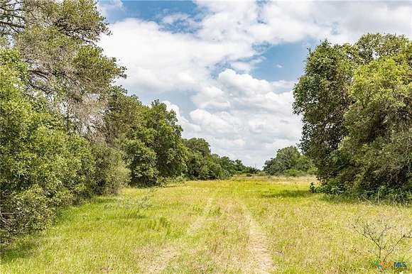 42.8 Acres of Land for Sale in Hallettsville, Texas