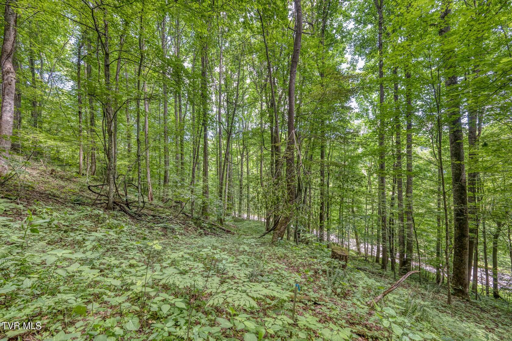0.54 Acres of Residential Land for Sale in Mars Hill, North Carolina