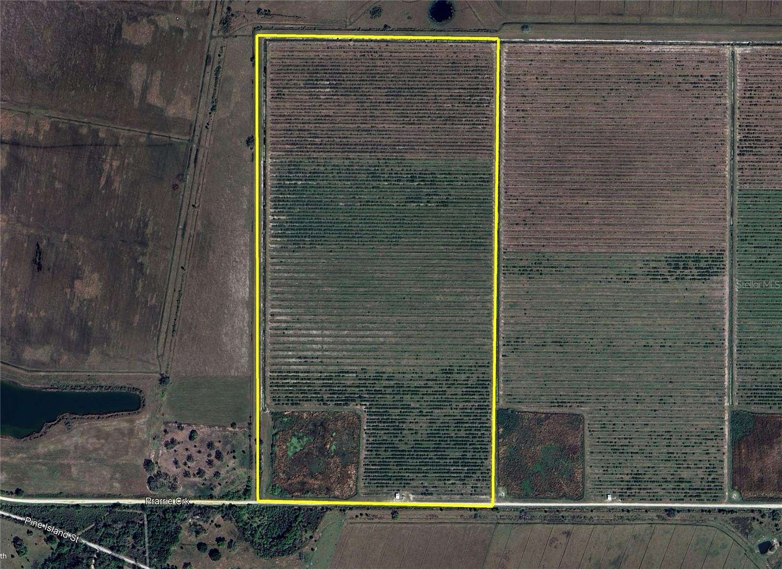 80 Acres of Agricultural Land for Sale in Arcadia, Florida