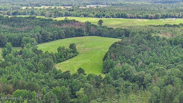 21.9 Acres of Land for Sale in Magee, Mississippi