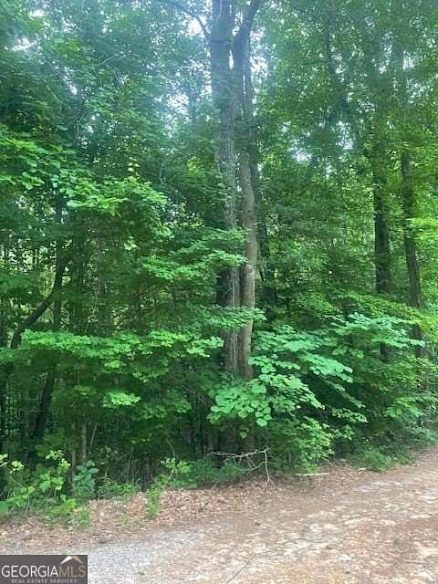 1 Acre of Residential Land for Sale in Atlanta, Georgia