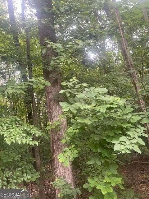 1.3 Acres of Residential Land for Sale in Atlanta, Georgia