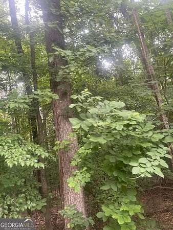 1.3 Acres of Residential Land for Sale in Atlanta, Georgia