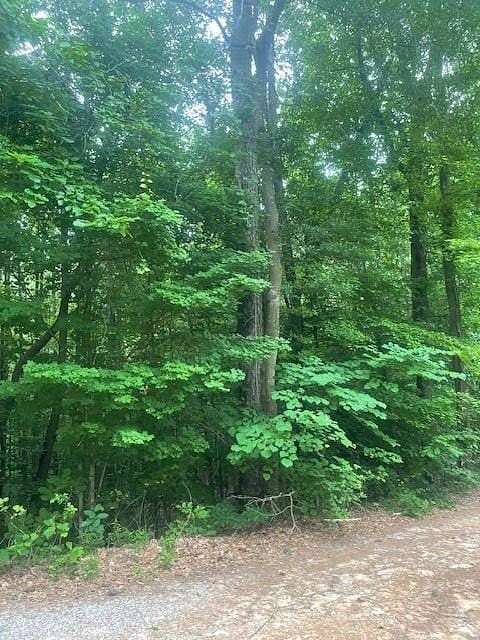 1 Acre of Residential Land for Sale in Atlanta, Georgia