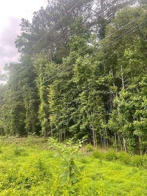 1.3 Acres of Residential Land for Sale in Atlanta, Georgia