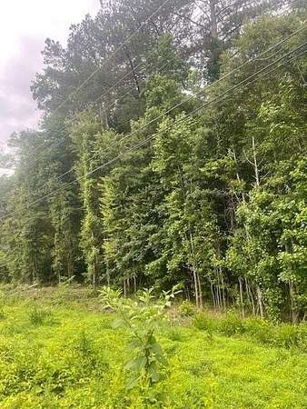 1.3 Acres of Residential Land for Sale in Atlanta, Georgia