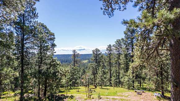 20.5 Acres of Agricultural Land for Sale in Deadwood, South Dakota