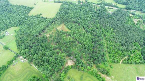 19 Acres of Recreational Land for Sale in Caneyville, Kentucky