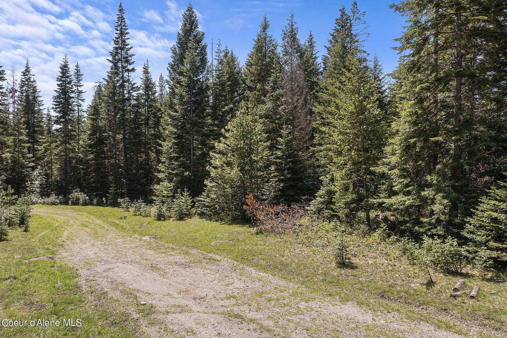 5.4 Acres of Residential Land for Sale in Athol, Idaho
