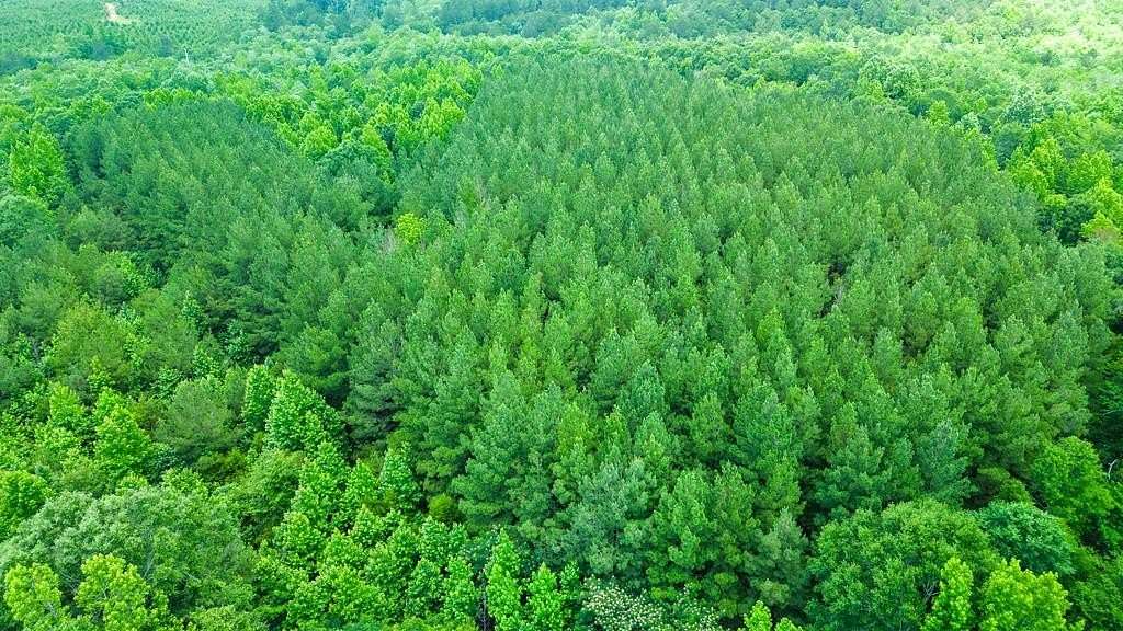 16.8 Acres of Recreational Land for Sale in Waynesboro, Mississippi