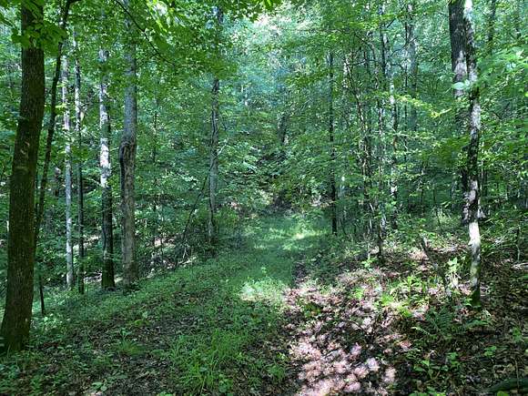 15.9 Acres of Land for Sale in Pine Knot, Kentucky