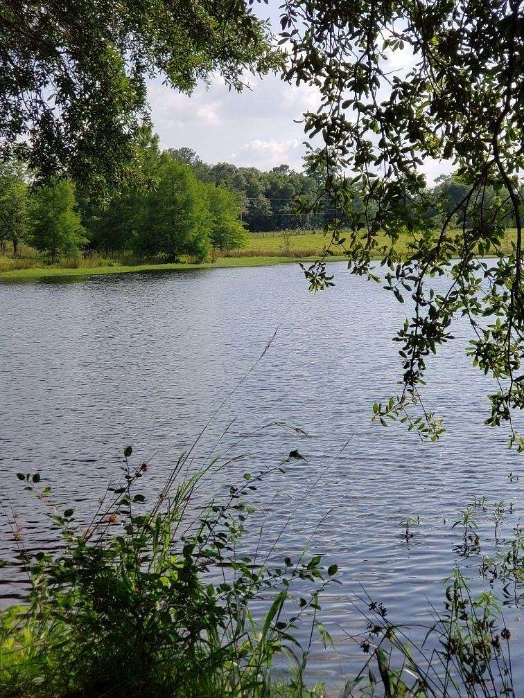 37.5 Acres of Recreational Land for Sale in Cairo, Georgia