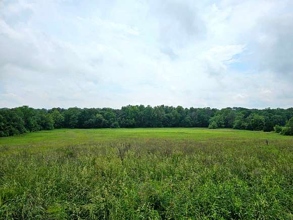 20.7 Acres of Land for Sale in Golconda, Illinois