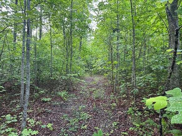 Land for Sale in Wilder, Tennessee