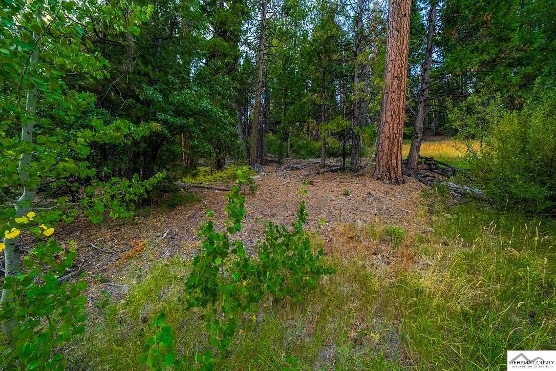 0.18 Acres of Residential Land for Sale in Mineral, California