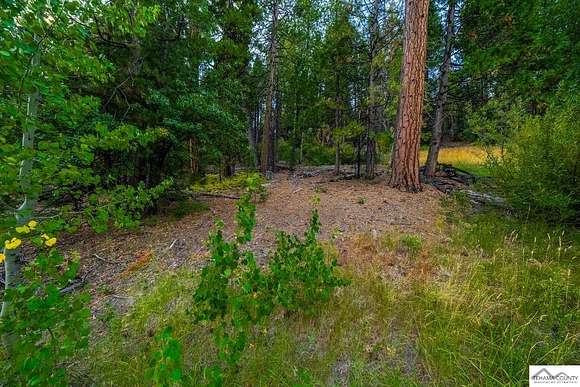 0.18 Acres of Residential Land for Sale in Mineral, California