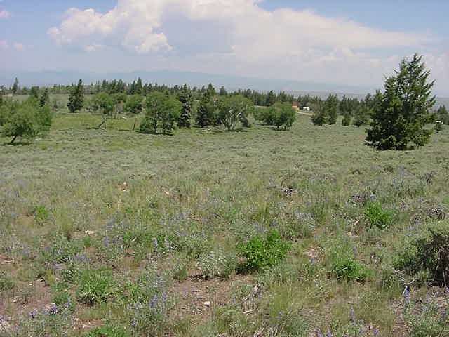 2 Acres of Residential Land for Sale in Powderhorn, Colorado