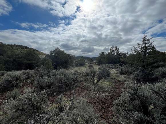 5 Acres of Land for Sale in Chama, New Mexico