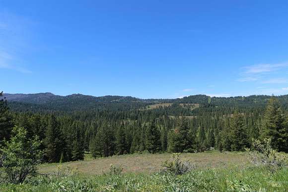 32 Acres of Recreational Land for Sale in Council, Idaho