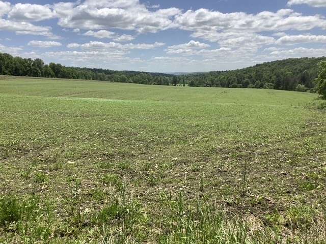 84 Acres of Land for Sale in Lisle, New York