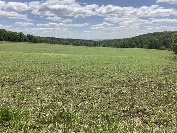 178 Acres of Land for Sale in Lisle, New York
