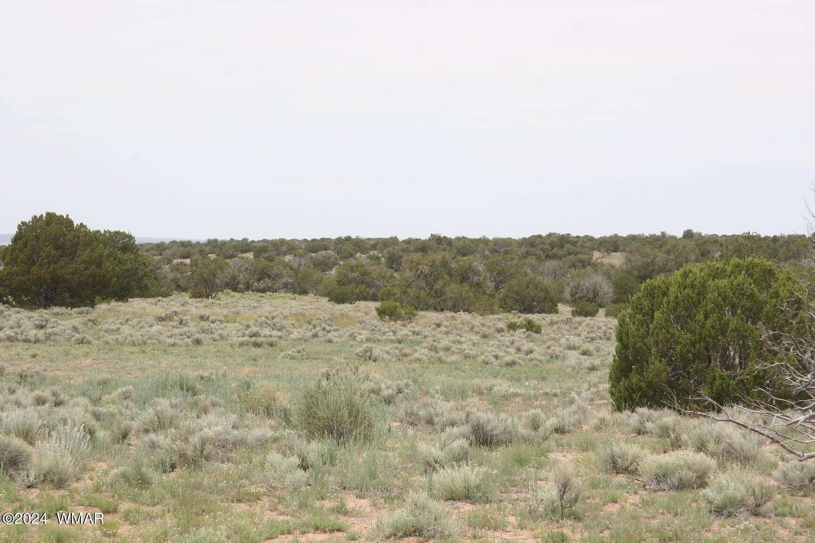 38.54 Acres of Land for Sale in St. Johns, Arizona