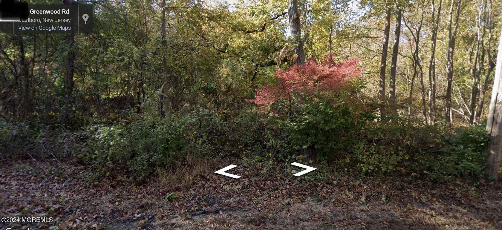 10.1 Acres of Land for Sale in Marlboro, New Jersey