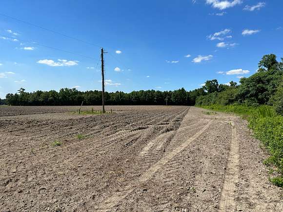 62.6 Acres of Agricultural Land for Sale in St. Pauls, North Carolina