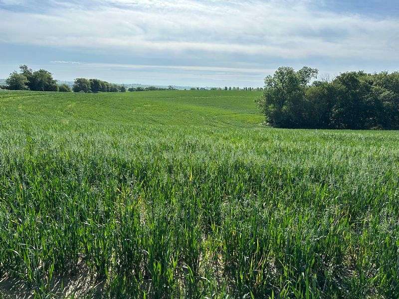 2.9 Acres of Land for Sale in Glenwood, Iowa