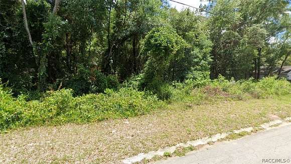 0.22 Acres of Residential Land for Sale in Inverness, Florida