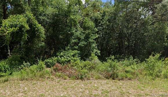 0.22 Acres of Residential Land for Sale in Inverness, Florida