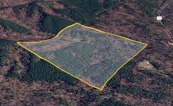 40 Acres of Recreational Land for Sale in Townley, Alabama