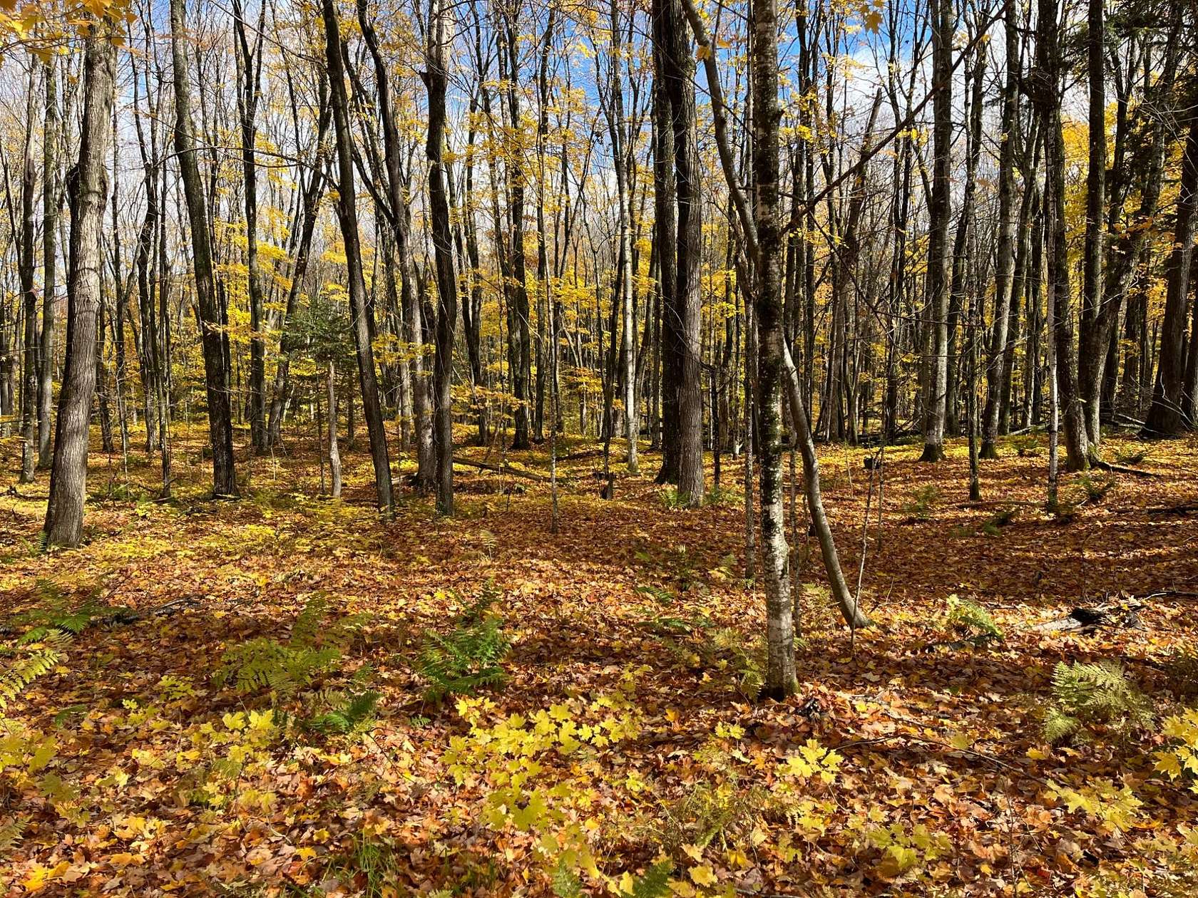 1.76 Acres of Residential Land for Sale in Presque Isle, Wisconsin