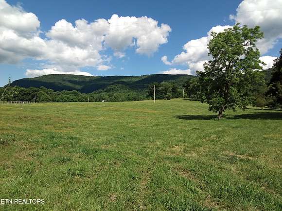 16.7 Acres of Land for Sale in Pikeville, Tennessee