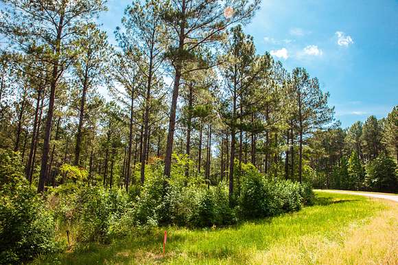 7.3 Acres of Residential Land for Sale in Appling, Georgia