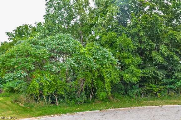 0.26 Acres of Residential Land for Sale in Canton, Ohio