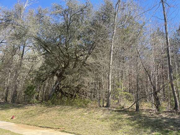 15 Acres of Land for Sale in Moncks Corner, South Carolina