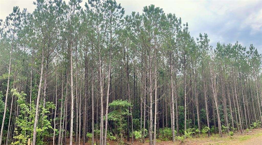 1 Acres of Residential Land for Sale in Broken Bow, Oklahoma