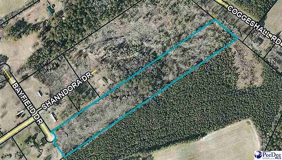 10.3 Acres of Agricultural Land for Sale in Darlington, South Carolina