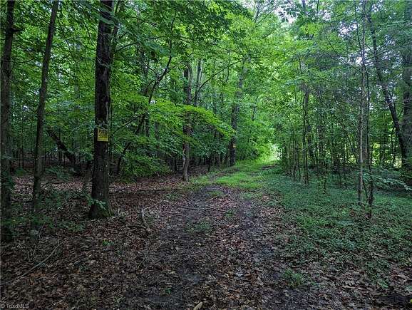 12 Acres of Recreational Land for Sale in Clemmons, North Carolina