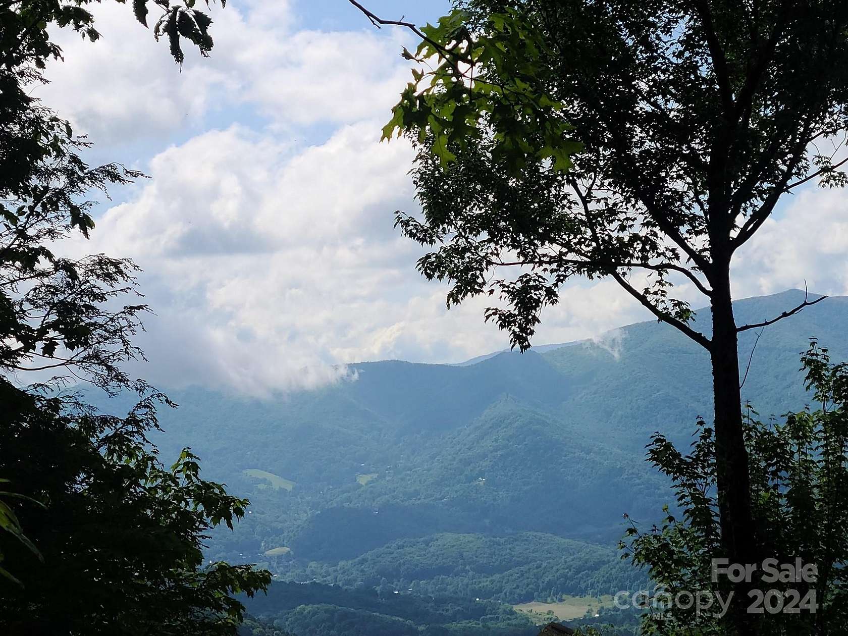 11.3 Acres of Land for Sale in Waynesville, North Carolina