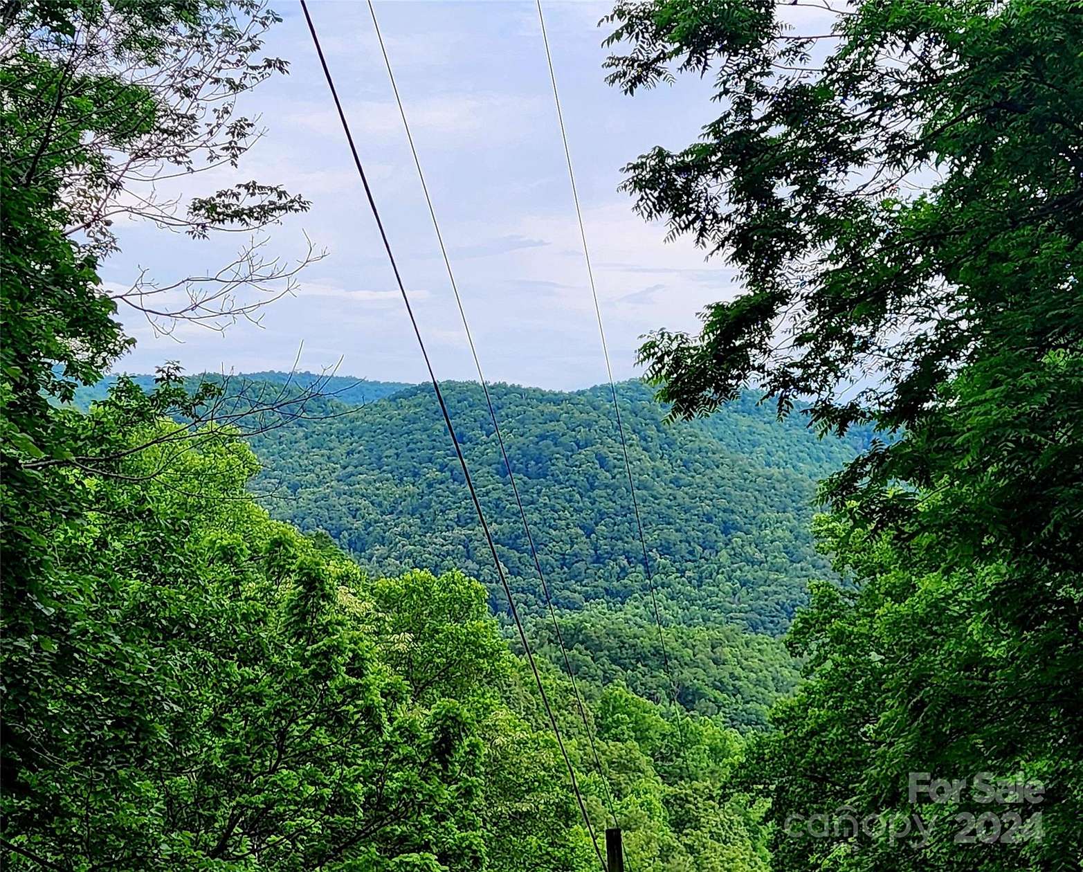 51.8 Acres of Land for Sale in Cullowhee, North Carolina