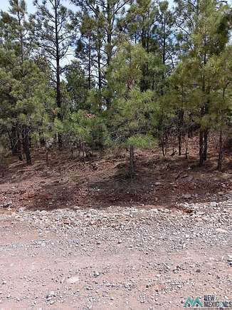 0.5 Acres of Residential Land for Sale in Timberon, New Mexico