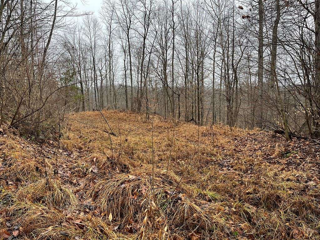 85 Acres of Recreational Land for Sale in Centerville, West Virginia